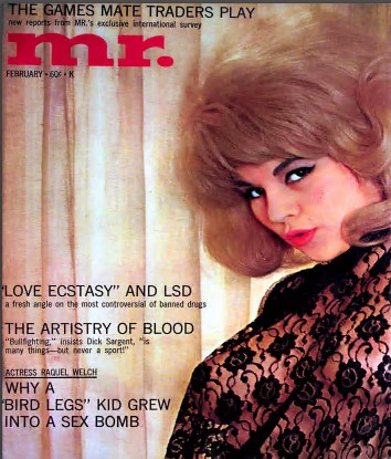 354px x 415px - Vintage XXX Mr. Magazine Archives - Adult Magazines Download