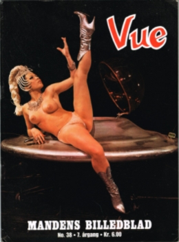 Vue 38