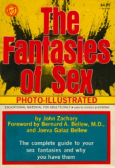 The Fantasies Of Sex