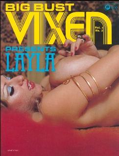 Big Bust Vixen Vol 01 No 02 (1981)