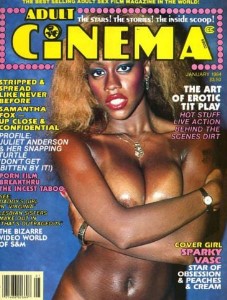 Adult Cinema Review January 1984