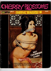 Cherry Blossoms No 11