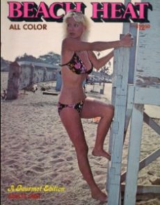 Beach Heat (Gourmet Editions)