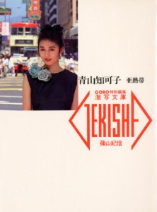 青山知可子―亜熱帯 (激写文庫) 1989